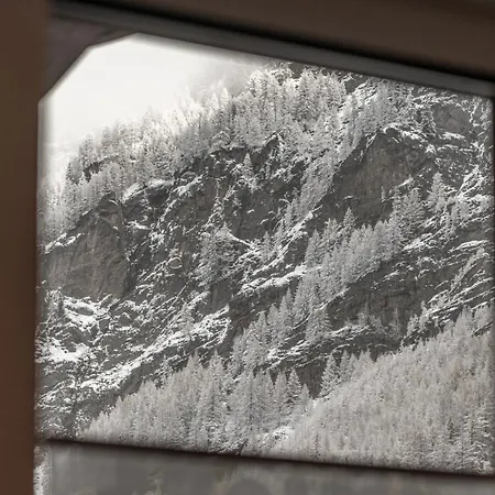 Garni Oetztal & Aparts Гостевой дом